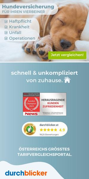 Hundeversicherung - durchblicker.at